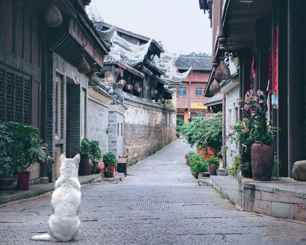 排骨汤的做法 清炖游戏画面