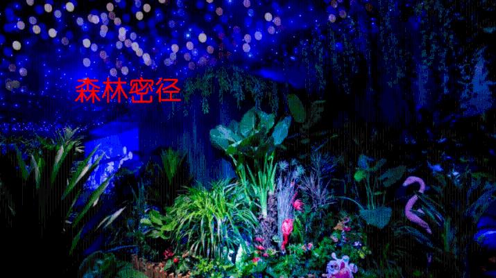 奔跑吧兄弟大冒险3